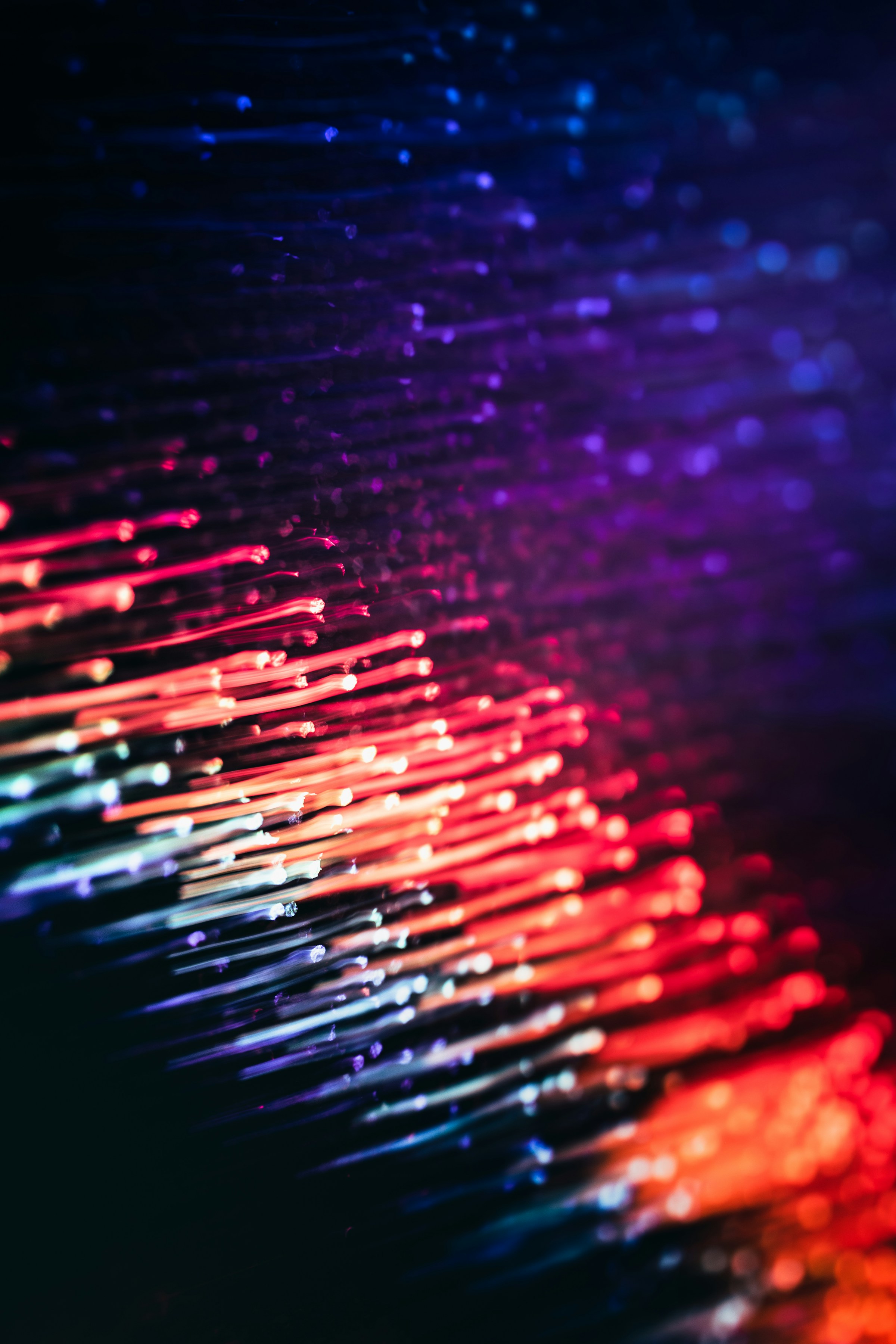 Detailed circuit board — the data infrastructure behind every CMS investigation